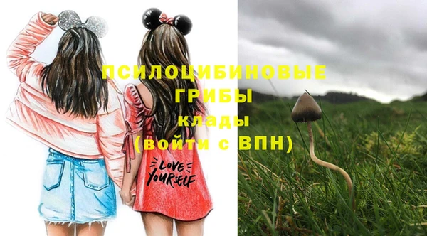 мяу мяу мука Вязники